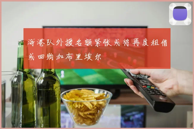 海港队外援名额紧张或将再度租借或回购加布里埃尔
